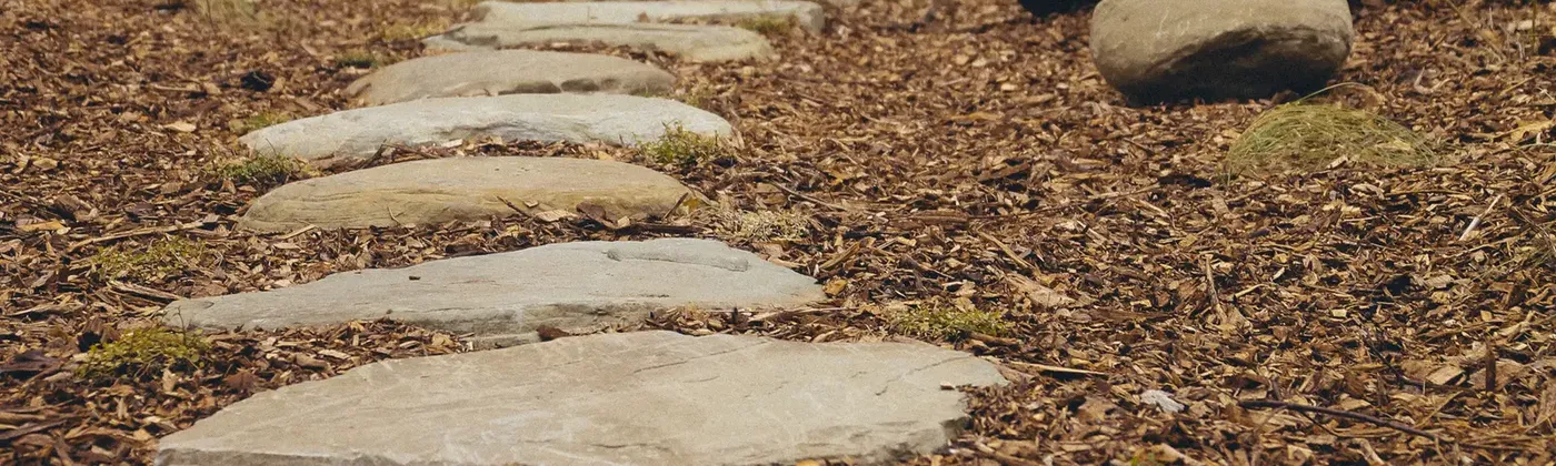 Stone stepping-stone path set through a landscaped Gisborne garden